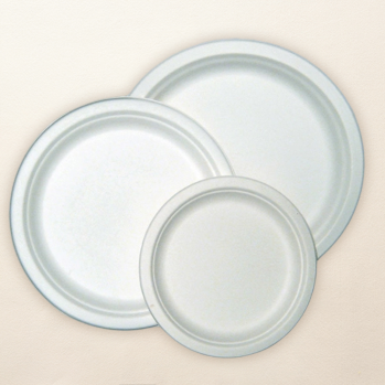 Sugarcane Fiber Oval Plate