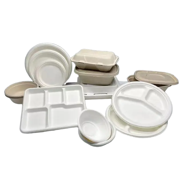 The Sustainable Choice: Why Bagasse Tableware is the Future of Disposable Dining?