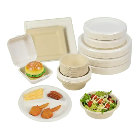 Switch to Sustainable Dining with Our Premium Sugarcane Bagasse Tableware