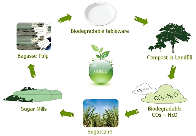 The Future of Eco-Friendly Tableware with Bagasse