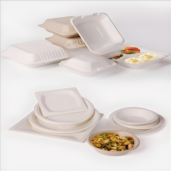 Bagasse Disposable Tableware: A Promising Outlook in the Global Market in 2025